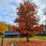 12 Islands in 12 Months: Traveling around Denmark during COVID-19 (Part 2: Autumn-Winter)