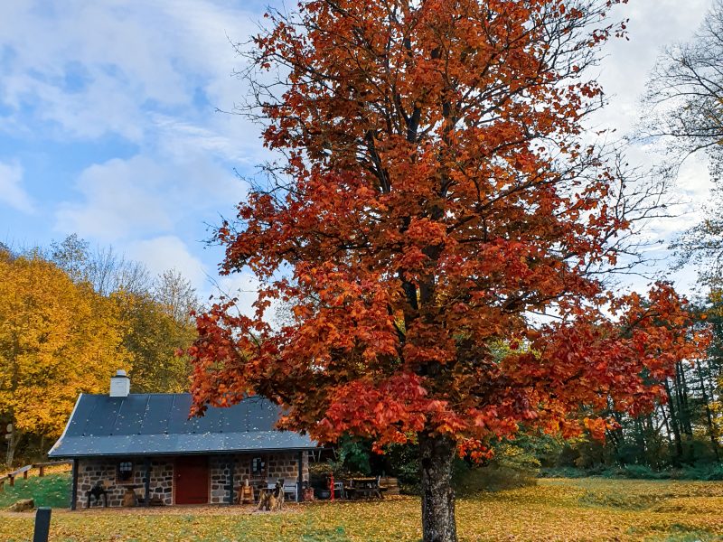 12 Islands in 12 Months: Traveling around Denmark during COVID-19 (Part 2: Autumn-Winter)